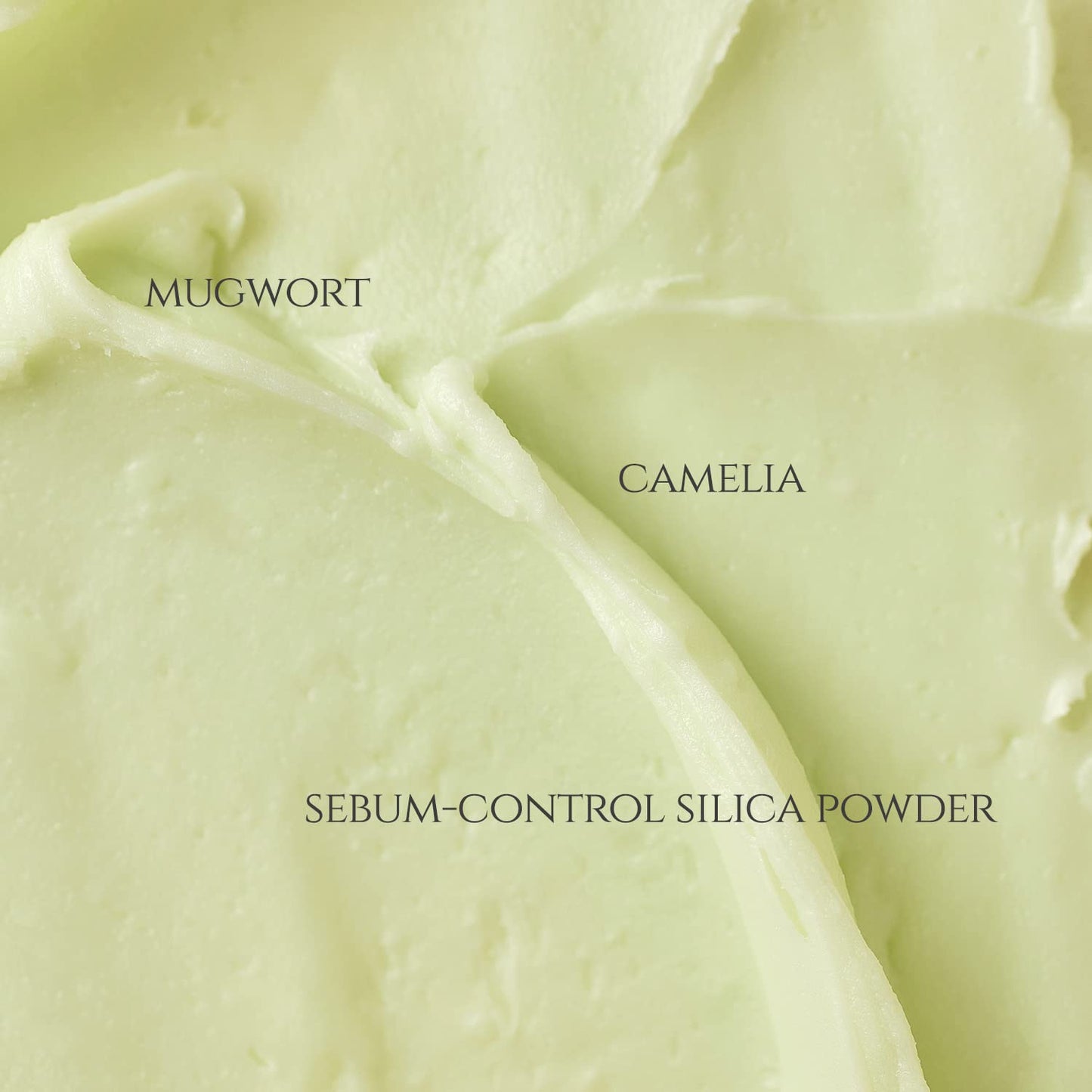 MATTE SUN STICK : MUGWORT+CAMELIA
