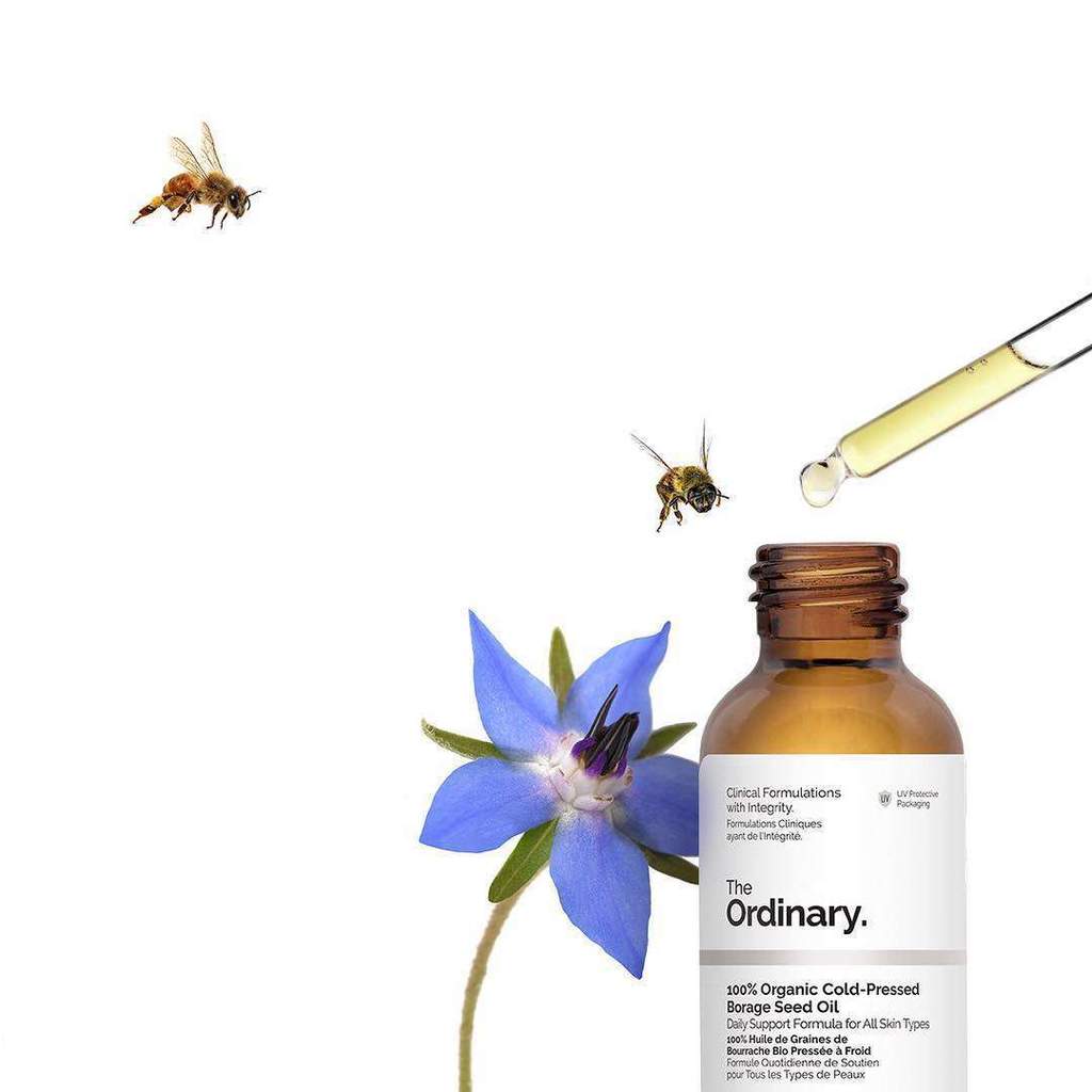 100% Organic Cold-Pressed Borage Seed Oil