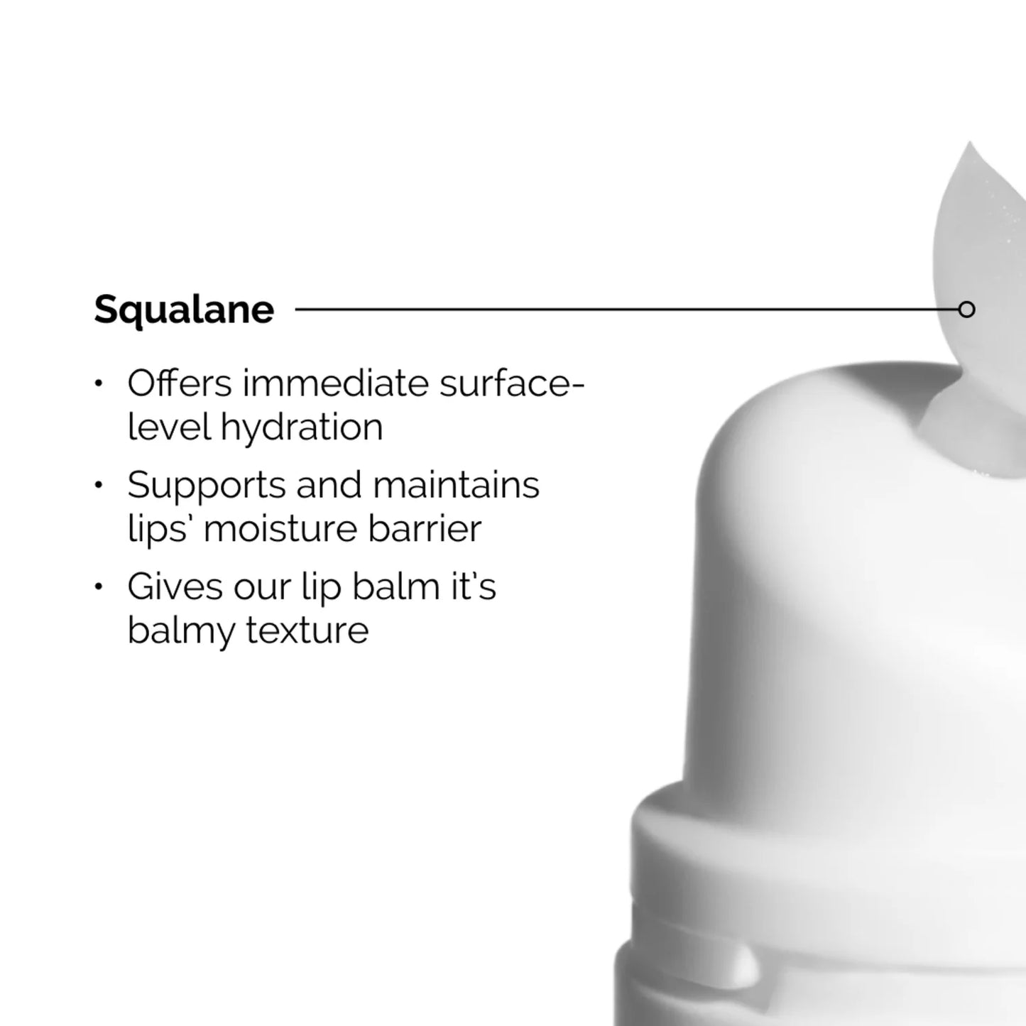 Squalane + Amino Acids lip balm 15ml