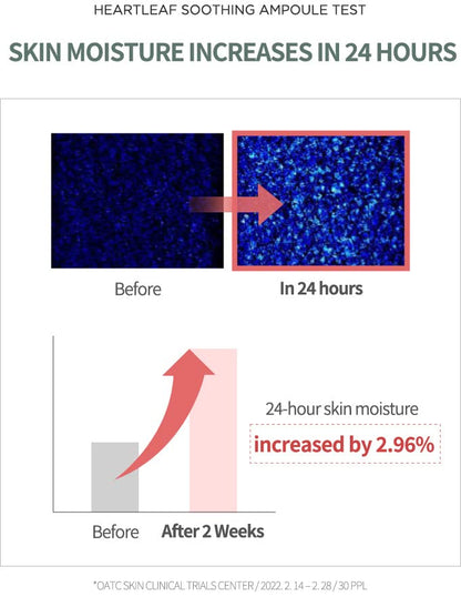 Heartleaf 80% Soothing Ampoule 30ml