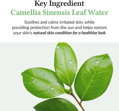 Green Tea Fresh Sunscreen