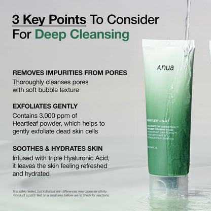 Heartleaf Quercetinol Pore Deep Cleansing Foam + BHA 150ml