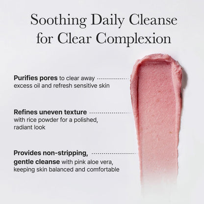 Arencia - Fresh Rosehip Rice Mochi Cleanser, 4.23oz / 120g