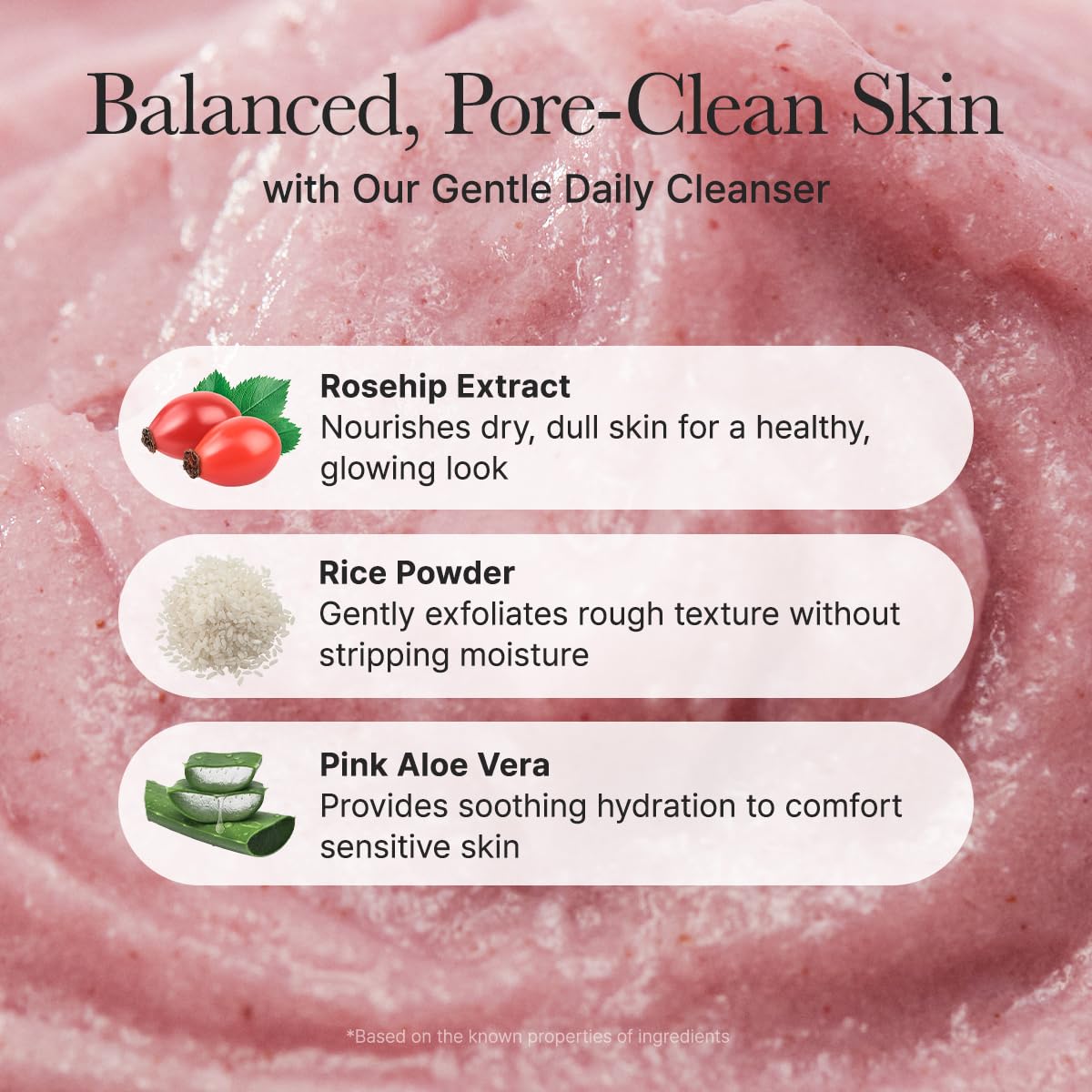 Arencia - Fresh Rosehip Rice Mochi Cleanser, 4.23oz / 120g