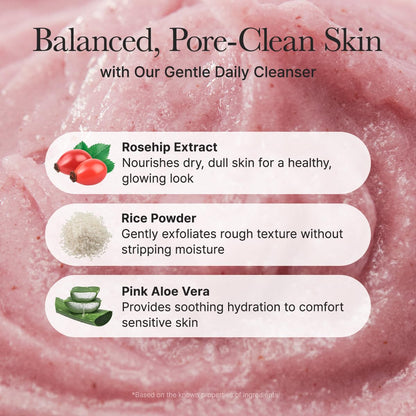 Arencia - Fresh Rosehip Rice Mochi Cleanser, 4.23oz / 120g