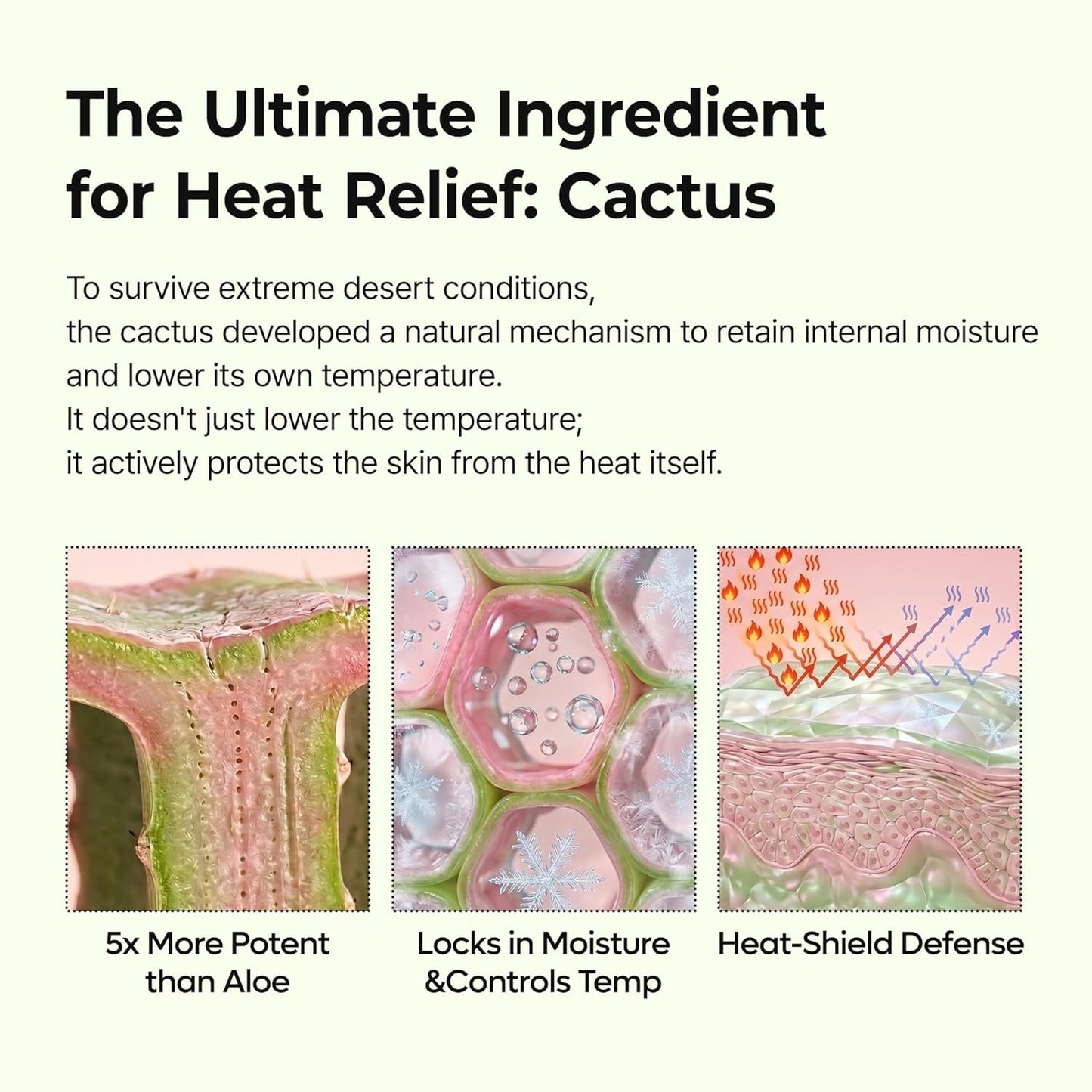 Dr.Melaxin - Cactox Pore Relief Multi Balm