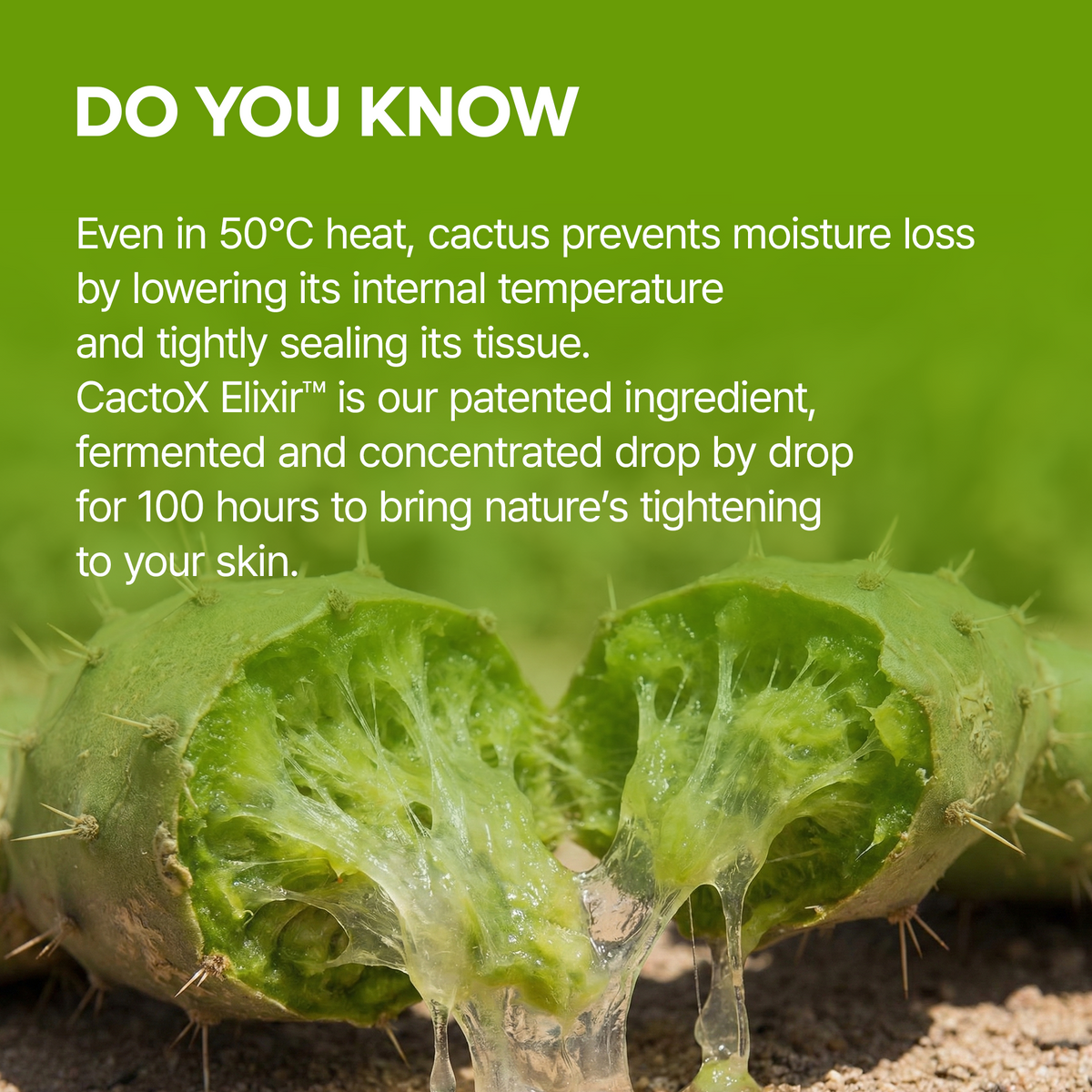 Dr.Melaxin Cactox Cooling V-UP Mask benefits detail