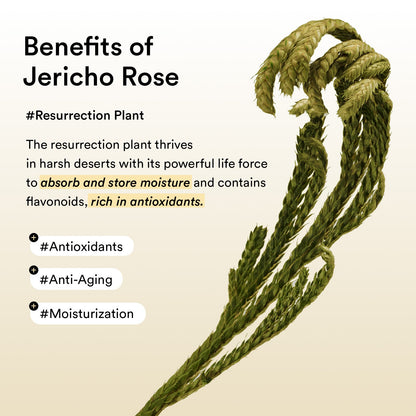 Abib Collagen Eye Patch Jericho Rose Jelly application on under-eye